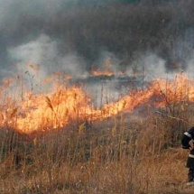 Incendiu de proporţii la Orleşti. Circulaţia pe DN 64 e afectată