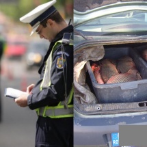 DRĂGĂȘANI: 18 kilograme de pește, „capturate” de polițiști