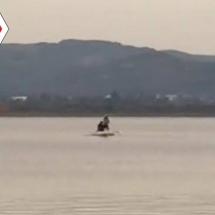 VIDEO: Braconieri surprinşi pe râul Olt, la Zăvideni – Vâlcea! Pescarii sportivi aduc acuzaţii grave!