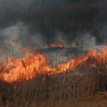 INCREDIBIL: 21 de incendii de vegetație în Vâlcea în doar trei zile