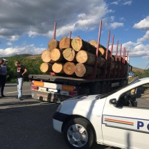 VÂLCEA – Transport ilegal de lemne: Oprit în trafic de două ori într-o zi!