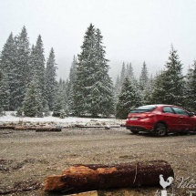 VIDEO: Ninge la Obârşia Lotrului. Iarna şi-a intrat în drepturi la munte!