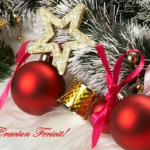 Colegiul Farmaciştilor Vâlcea vă doreşte un Crăciun Fericit şi un An Nou plin de bucurii!