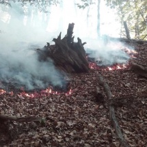 FOTO: Incendiu de vegetație la Horezu. Risc de extindere la pădure…