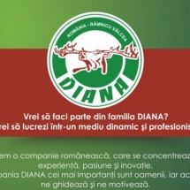 Vrei să faci parte din echipa DIANA? 14 posturi disponibile!