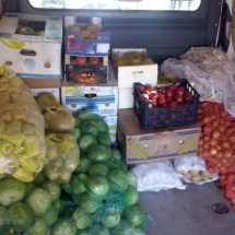 VÂLCEA: 500 de kilograme de legume confiscate în trafic