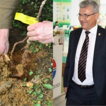 NEWS ALERT. Ministrul Apelor și Pădurilor vine azi la Vâlcea! 100 de stejari vor fi plantați în cinstea Centenarului Marii Uniri