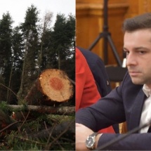 Deputatul Ștefan Ovidiu Popa susține propunerea legislativă pentru stoparea defrișărilor masive a pădurilor