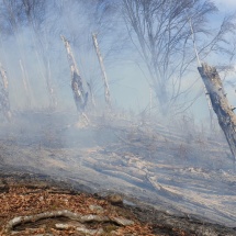 FOTO-VIDEO. Incendiu la Malaia. Flăcările s-au extins și la pădure!