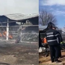 FOTO – VIDEO: INCENDIU la GOVORA. 2.500 de pui au ars de vii (update)