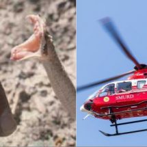 ACUM – Bărbat mușcat de șarpe la Gușoieni. A fost solicitat elicopterul SMURD