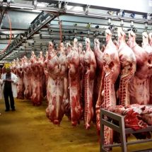 ACUZAȚII GRAVE. Un abator din VÂLCEA ar fi vândut carne infestată cu pestă porcină la Târgu Jiu