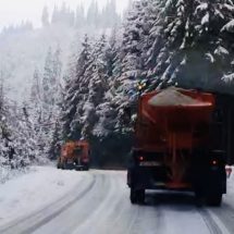 VIDEO. Ninge viscolit în nordul județului Vâlcea. SDN intervine în forță!
