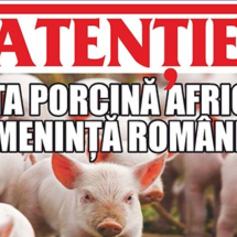 PRIMĂRIA RÂMNICU VÂLCEA: Apel către cetăţeni pentru limitarea răspândirii pestei porcine!