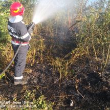Pompierii vâlceni au intervenit la 7 incendii de vegetaţie în ultimele 24 de ore