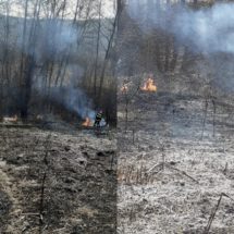 FOTO. Incendiu într-o zonă împădurită din comuna Stroești