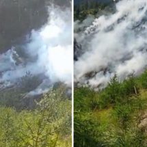 VIDEO. Arde pădurea în Munții Căpățânii. Pompierii vâlceni intervin de urgență