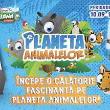 Planeta Animalelor în Magazinele DIANA. Poți câștiga o consolă gaming  XBOX SERIE X