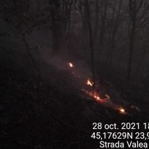 FOTO. Incendiu într-o pădure din zona Horezu