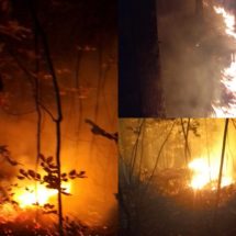 FOTO/VÂLCEA. Incendii pe zeci de hectare în două păduri de foioase din județ