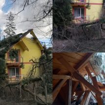 FOTO. Cabană din Călimănești, distrusă de copaci smulși de vânt
