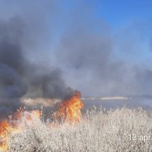 FOTO. Incendiu de amploare pe malul râului Olt, în zona Băbeni. Forțe suplimentate!