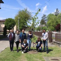 FOTO: Arbori tineri plantați de elevii din Ocnele Mari, alături de primarul Sasu