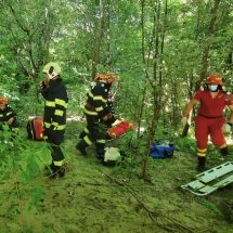 Tragedie la Voineasa. Bărbat găsit mort în pădure