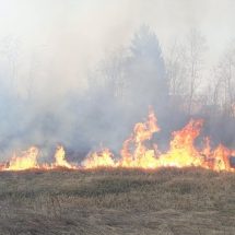 Budești, Prundeni, Fârtățești, Cernișoara, Oteșani, Livezi… doar câteva dintre localitățile în care pompierii au intervenit în această săptămână