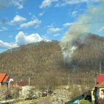 ACUM: Pericol în Brezoi. Pădurea a luat foc!