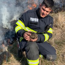 Horezu, Berbești, Drăgoești, Malaia, Măciuca, Grădiștea… doar câteva dintre localitățile în care pompierii au intervenit