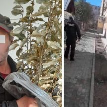 FOTO/VIDEO: Trei hoți de flori, prinși de polițiștii locali din Râmnicu Vâlcea