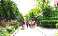 Modalitate perfectă pentru petrecerea timpului liber: Grădina Zoologică va fi deschisă în fiecare zi a mini-vacanței de 1 Mai și Paști
